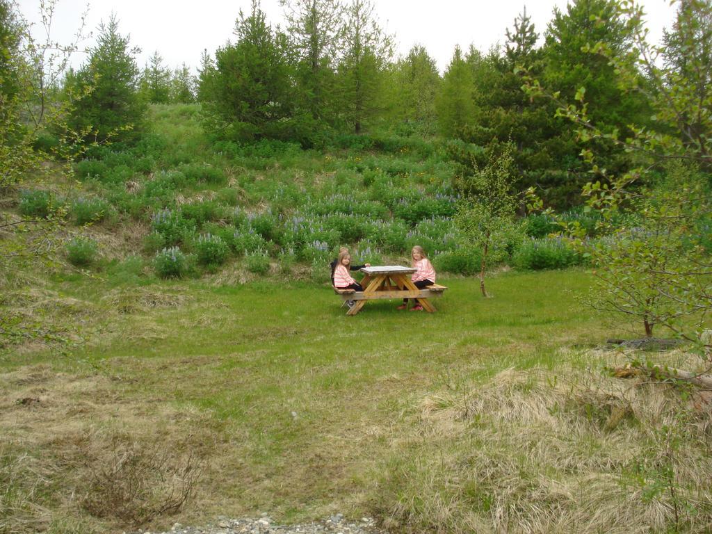 Vinland Camping Pods Egilsstaðir Rum bild